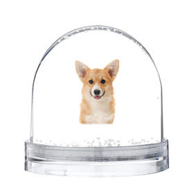 Снежный шар с принтом Пемброк-вельш-корги в Курске, Пластик | Изображение внутри шара печатается на глянцевой фотобумаге с двух сторон | животное | пемброк вельш корги | порода | собака