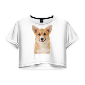 Женская футболка 3D укороченная с принтом Пемброк-вельш-корги в Курске, 100% полиэстер | круглая горловина, длина футболки до линии талии, рукава с отворотами | животное | пемброк вельш корги | порода | собака