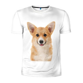 Мужская футболка 3D спортивная с принтом Пемброк-вельш-корги в Курске, 100% полиэстер с улучшенными характеристиками | приталенный силуэт, круглая горловина, широкие плечи, сужается к линии бедра | животное | пемброк вельш корги | порода | собака