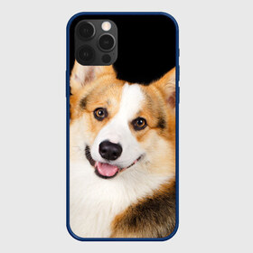 Чехол для iPhone 12 Pro Max с принтом Пемброк-вельш-корги в Курске, Силикон |  | Тематика изображения на принте: животное | пемброк вельш корги | порода | собака
