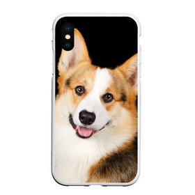 Чехол для iPhone XS Max матовый с принтом Пемброк-вельш-корги в Курске, Силикон | Область печати: задняя сторона чехла, без боковых панелей | Тематика изображения на принте: животное | пемброк вельш корги | порода | собака