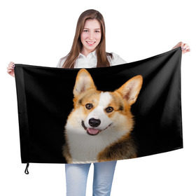 Флаг 3D с принтом Пемброк-вельш-корги в Курске, 100% полиэстер | плотность ткани — 95 г/м2, размер — 67 х 109 см. Принт наносится с одной стороны | животное | пемброк вельш корги | порода | собака