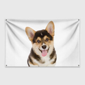 Флаг-баннер с принтом Пемброк-вельш-корги в Курске, 100% полиэстер | размер 67 х 109 см, плотность ткани — 95 г/м2; по краям флага есть четыре люверса для крепления | животное | пемброк вельш корги | порода | собака