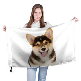 Флаг 3D с принтом Пемброк-вельш-корги в Курске, 100% полиэстер | плотность ткани — 95 г/м2, размер — 67 х 109 см. Принт наносится с одной стороны | животное | пемброк вельш корги | порода | собака