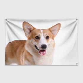 Флаг-баннер с принтом Пемброк-вельш-корги в Курске, 100% полиэстер | размер 67 х 109 см, плотность ткани — 95 г/м2; по краям флага есть четыре люверса для крепления | животное | пемброк вельш корги | порода | собака