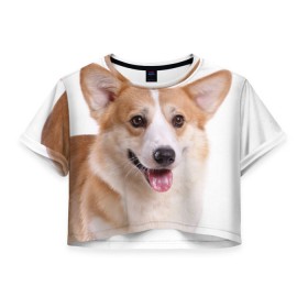 Женская футболка 3D укороченная с принтом Пемброк-вельш-корги в Курске, 100% полиэстер | круглая горловина, длина футболки до линии талии, рукава с отворотами | животное | пемброк вельш корги | порода | собака