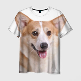 Мужская футболка 3D с принтом Пемброк-вельш-корги в Курске, 100% полиэфир | прямой крой, круглый вырез горловины, длина до линии бедер | животное | пемброк вельш корги | порода | собака