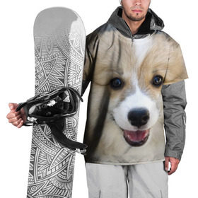Накидка на куртку 3D с принтом Пемброк-вельш-корги, собака, п в Курске, 100% полиэстер |  | Тематика изображения на принте: животное | пемброк вельш корги | порода | собака
