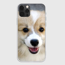 Чехол для iPhone 12 Pro Max с принтом Пемброк-вельш-корги собака п в Курске, Силикон |  | Тематика изображения на принте: животное | пемброк вельш корги | порода | собака