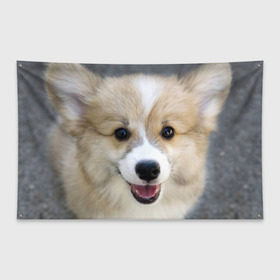 Флаг-баннер с принтом Пемброк-вельш-корги собака п в Курске, 100% полиэстер | размер 67 х 109 см, плотность ткани — 95 г/м2; по краям флага есть четыре люверса для крепления | животное | пемброк вельш корги | порода | собака