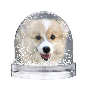 Снежный шар с принтом Пемброк-вельш-корги, собака, п в Курске, Пластик | Изображение внутри шара печатается на глянцевой фотобумаге с двух сторон | животное | пемброк вельш корги | порода | собака