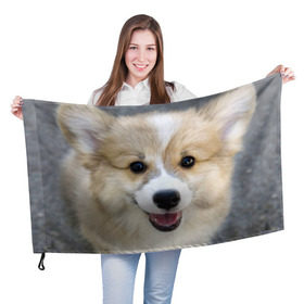Флаг 3D с принтом Пемброк-вельш-корги, собака, п в Курске, 100% полиэстер | плотность ткани — 95 г/м2, размер — 67 х 109 см. Принт наносится с одной стороны | животное | пемброк вельш корги | порода | собака