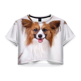 Женская футболка 3D укороченная с принтом Папийон в Курске, 100% полиэстер | круглая горловина, длина футболки до линии талии, рукава с отворотами | животное | папийон | порода | собака