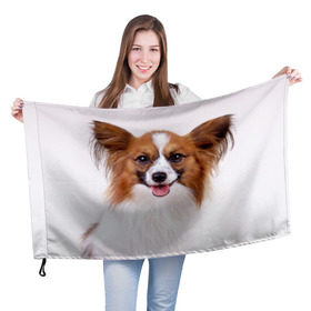 Флаг 3D с принтом Папийон в Курске, 100% полиэстер | плотность ткани — 95 г/м2, размер — 67 х 109 см. Принт наносится с одной стороны | животное | папийон | порода | собака