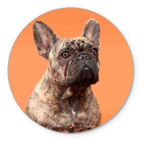 Коврик круглый с принтом Французский бульдог в Курске, резина и полиэстер | круглая форма, изображение наносится на всю лицевую часть | животное | порода | собака | французский бульдог