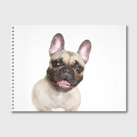 Альбом для рисования с принтом Французский бульдог в Курске, 100% бумага
 | матовая бумага, плотность 200 мг. | Тематика изображения на принте: животное | порода | собака | французский бульдог