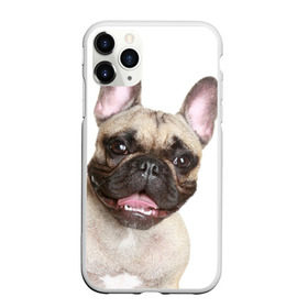Чехол для iPhone 11 Pro матовый с принтом Французский бульдог в Курске, Силикон |  | животное | порода | собака | французский бульдог
