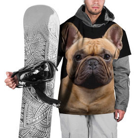 Накидка на куртку 3D с принтом Французский бульдог в Курске, 100% полиэстер |  | Тематика изображения на принте: животное | порода | собака | французский бульдог