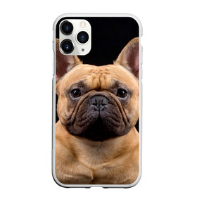 Чехол для iPhone 11 Pro Max матовый с принтом Французский бульдог в Курске, Силикон |  | животное | порода | собака | французский бульдог