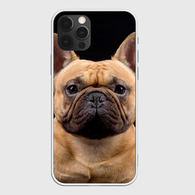 Чехол для iPhone 12 Pro Max с принтом Французский бульдог в Курске, Силикон |  | животное | порода | собака | французский бульдог