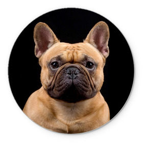 Коврик круглый с принтом Французский бульдог в Курске, резина и полиэстер | круглая форма, изображение наносится на всю лицевую часть | животное | порода | собака | французский бульдог