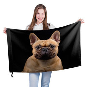 Флаг 3D с принтом Французский бульдог в Курске, 100% полиэстер | плотность ткани — 95 г/м2, размер — 67 х 109 см. Принт наносится с одной стороны | животное | порода | собака | французский бульдог