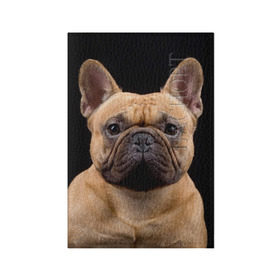 Обложка для паспорта матовая кожа с принтом Французский бульдог в Курске, натуральная матовая кожа | размер 19,3 х 13,7 см; прозрачные пластиковые крепления | Тематика изображения на принте: животное | порода | собака | французский бульдог
