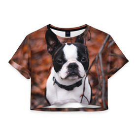 Женская футболка 3D укороченная с принтом Бостон Терьер в Курске, 100% полиэстер | круглая горловина, длина футболки до линии талии, рукава с отворотами | Тематика изображения на принте: животное | порода | собака | французский бульдог