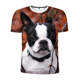 Мужская футболка 3D спортивная с принтом Бостон Терьер в Курске, 100% полиэстер с улучшенными характеристиками | приталенный силуэт, круглая горловина, широкие плечи, сужается к линии бедра | животное | порода | собака | французский бульдог