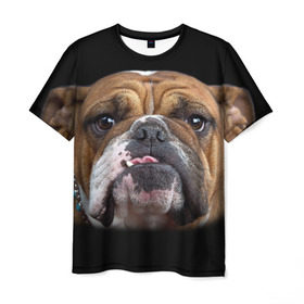 Мужская футболка 3D с принтом Французский бульдог в Курске, 100% полиэфир | прямой крой, круглый вырез горловины, длина до линии бедер | Тематика изображения на принте: животное | порода | собака | французский бульдог