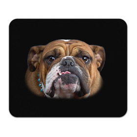 Коврик прямоугольный с принтом Французский бульдог в Курске, натуральный каучук | размер 230 х 185 мм; запечатка лицевой стороны | Тематика изображения на принте: животное | порода | собака | французский бульдог
