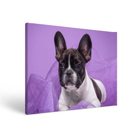 Холст прямоугольный с принтом Французский бульдог в Курске, 100% ПВХ |  | Тематика изображения на принте: животное | порода | собака | французский бульдог