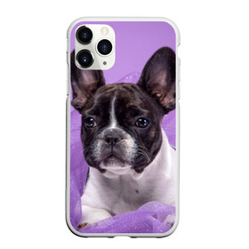 Чехол для iPhone 11 Pro матовый с принтом Французский бульдог в Курске, Силикон |  | животное | порода | собака | французский бульдог