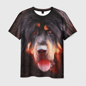 Мужская футболка 3D с принтом Тибетский мастиф в Курске, 100% полиэфир | прямой крой, круглый вырез горловины, длина до линии бедер | животное | порода | собака