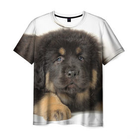 Мужская футболка 3D с принтом Тибетский мастиф в Курске, 100% полиэфир | прямой крой, круглый вырез горловины, длина до линии бедер | Тематика изображения на принте: животное | порода | собака