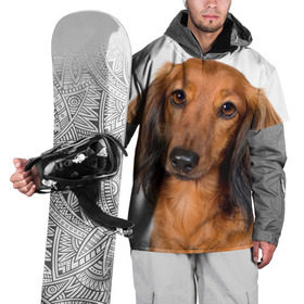 Накидка на куртку 3D с принтом Такса в Курске, 100% полиэстер |  | Тематика изображения на принте: животное | порода | собака | такса