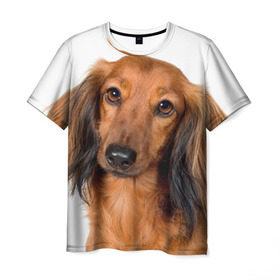Мужская футболка 3D с принтом Такса в Курске, 100% полиэфир | прямой крой, круглый вырез горловины, длина до линии бедер | Тематика изображения на принте: животное | порода | собака | такса