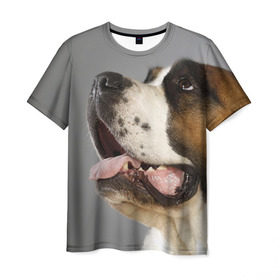 Мужская футболка 3D с принтом Сенбернар в Курске, 100% полиэфир | прямой крой, круглый вырез горловины, длина до линии бедер | животное | порода | сенбернар | собака