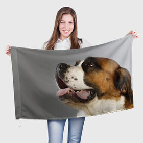 Флаг 3D с принтом Сенбернар в Курске, 100% полиэстер | плотность ткани — 95 г/м2, размер — 67 х 109 см. Принт наносится с одной стороны | Тематика изображения на принте: животное | порода | сенбернар | собака