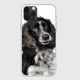 Чехол для iPhone 12 Pro Max с принтом Русский охотничий спаниель в Курске, Силикон |  | порода | русский охотничий спаниель | собака