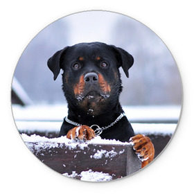 Коврик круглый с принтом Ротвейлер в Курске, резина и полиэстер | круглая форма, изображение наносится на всю лицевую часть | животное | порода | ротвейлер | собака