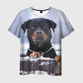 Мужская футболка 3D с принтом Ротвейлер в Курске, 100% полиэфир | прямой крой, круглый вырез горловины, длина до линии бедер | Тематика изображения на принте: животное | порода | ротвейлер | собака