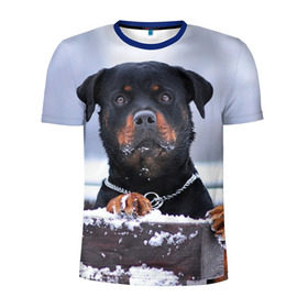 Мужская футболка 3D спортивная с принтом Ротвейлер в Курске, 100% полиэстер с улучшенными характеристиками | приталенный силуэт, круглая горловина, широкие плечи, сужается к линии бедра | животное | порода | ротвейлер | собака