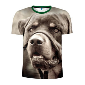 Мужская футболка 3D спортивная с принтом Ротвейлер в Курске, 100% полиэстер с улучшенными характеристиками | приталенный силуэт, круглая горловина, широкие плечи, сужается к линии бедра | Тематика изображения на принте: животное | порода | ротвейлер | собака