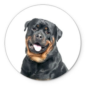 Коврик круглый с принтом Ротвейлер в Курске, резина и полиэстер | круглая форма, изображение наносится на всю лицевую часть | животное | порода | ротвейлер | собака