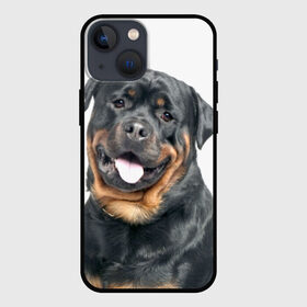 Чехол для iPhone 13 mini с принтом Ротвейлер в Курске,  |  | Тематика изображения на принте: животное | порода | ротвейлер | собака