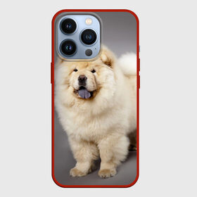 Чехол для iPhone 13 Pro с принтом Чау чау в Курске,  |  | Тематика изображения на принте: животное | порода | собака | чау чау