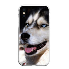Чехол для iPhone XS Max матовый с принтом Хаски в Курске, Силикон | Область печати: задняя сторона чехла, без боковых панелей | животное | порода | собака | хаски