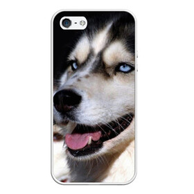 Чехол для iPhone 5/5S матовый с принтом Хаски в Курске, Силикон | Область печати: задняя сторона чехла, без боковых панелей | животное | порода | собака | хаски