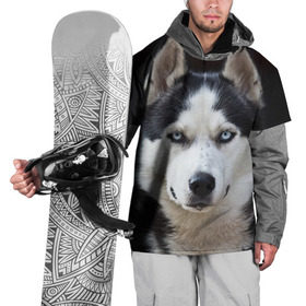 Накидка на куртку 3D с принтом Хаски в Курске, 100% полиэстер |  | бандит | животное | порода | собака | хаски | хаски бандит